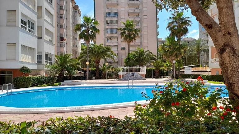 Caballito de mar, parking, AC y fibra VT-52619-V - B&B Gandia