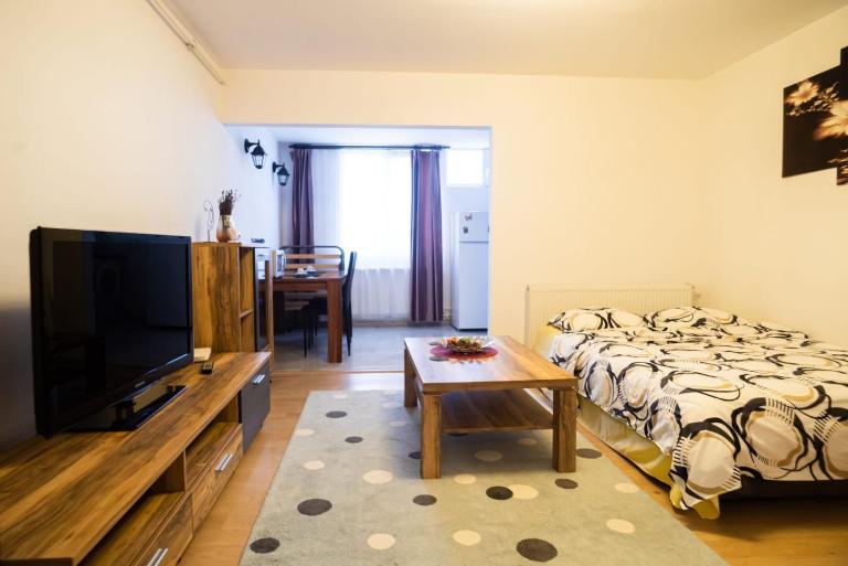 Studio Central ”Dacul” - B&B Hunedoara