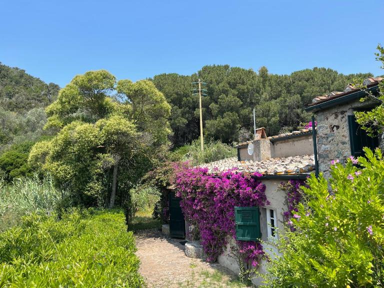 The Old Mill with Private Garden and Torrent - Bed and Breakfast Portoferraio