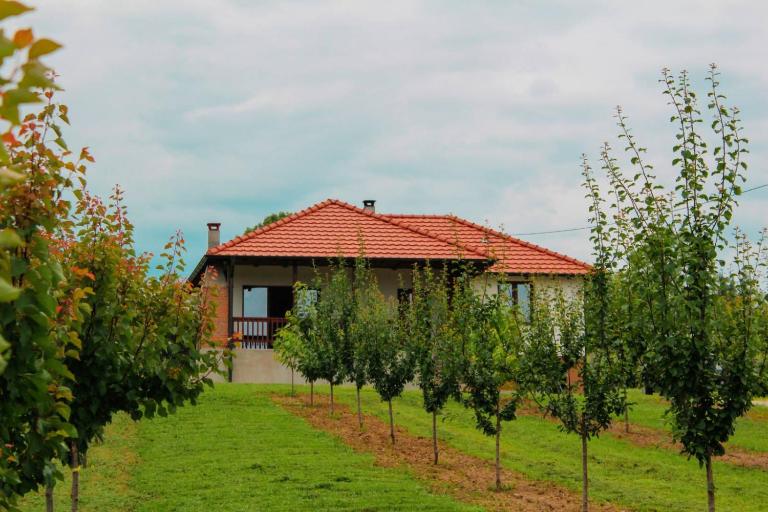 Villa Sladjana - B&B Mladenovac