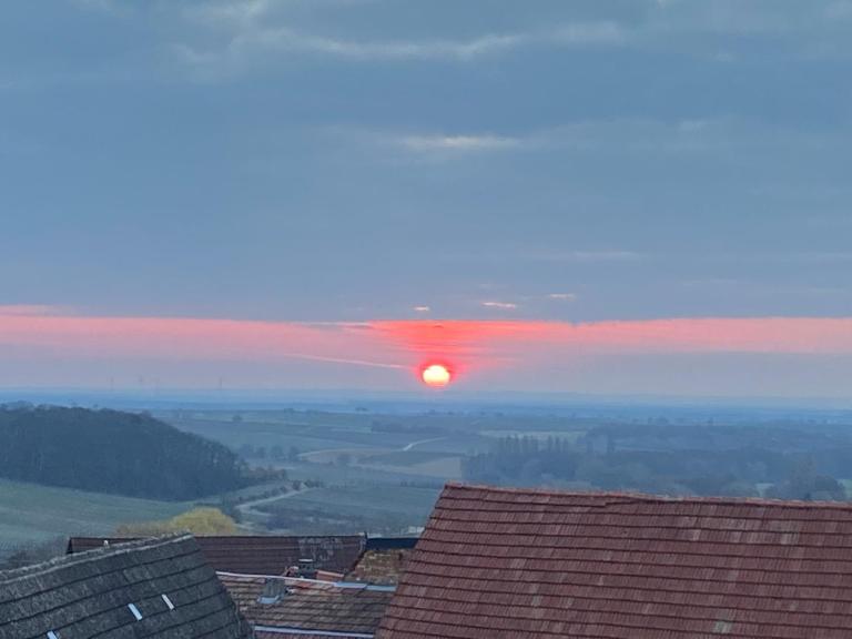Atelier de Pfalz-Loftstyl mit Pfalzblick - B&B Gleiszellen-Gleishorbach