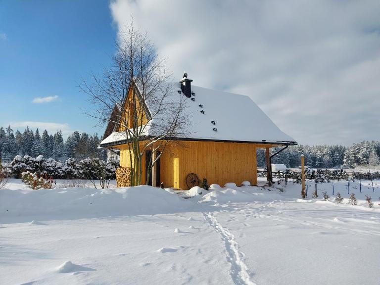 Willa Maciejka - Domek Narciarski - B&B Trybsz