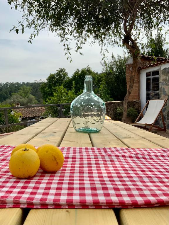 La Casita - B&B Fuente del Oro