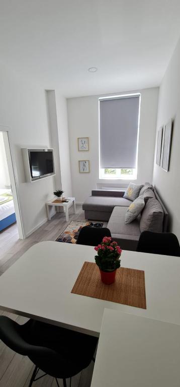 Mika Apartment and Studios with free Parking - B&B Zagreb