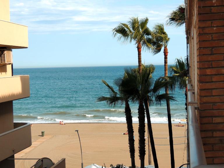 Jardín - Chambres d'hôtes Estepona