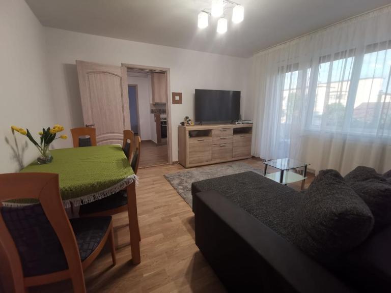 Old Town Apartment 2 bedrooms, 1 living - B&B Baia Mare