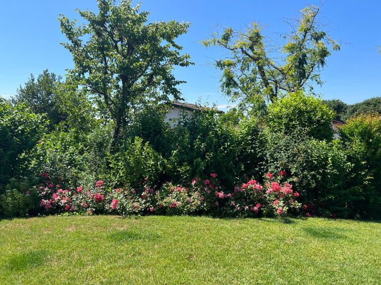 Steba House Savani Barbara Foresteria Lombarda - Bed and Breakfast Lonato