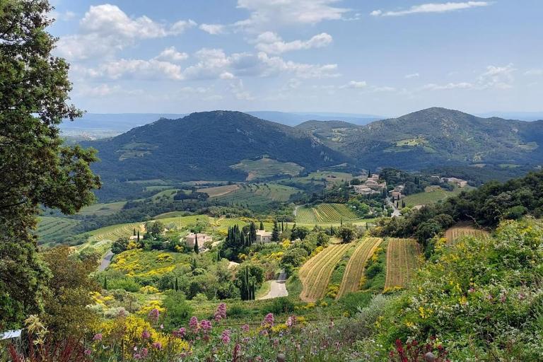 Situation exceptionnelle, villa Labori, luxueuse - B&B Suzette