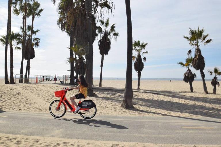 Villa by the Ocean in Venice Beach - B&B Los Angeles