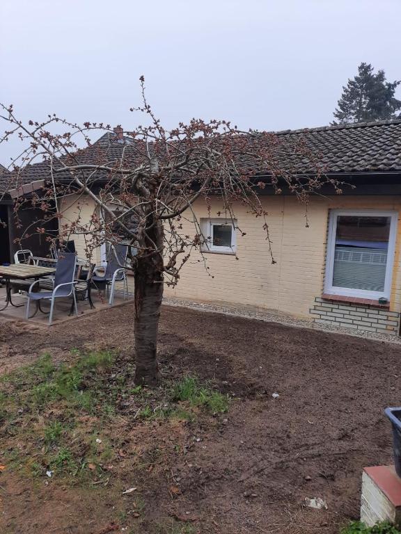 Auszeit - B&B Mölln