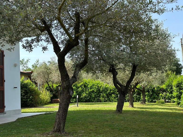 Abitatt Apart-Suite - B&B Fosdinovo
