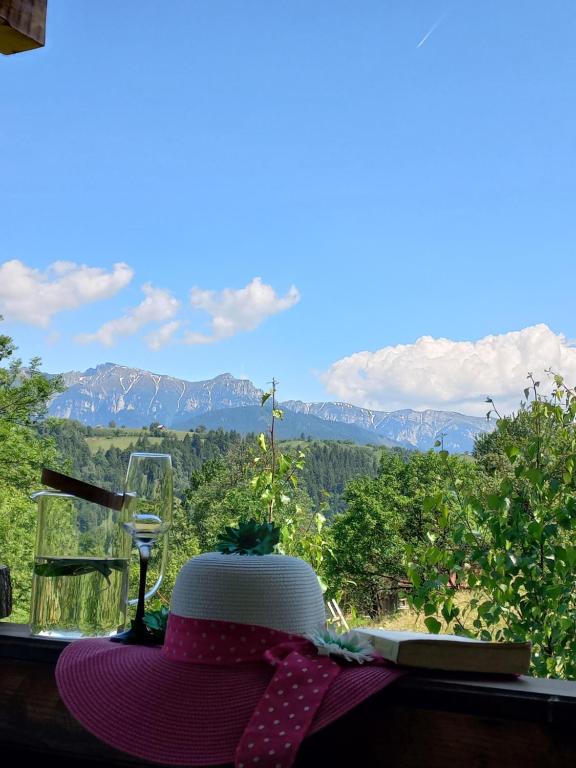Touch the Sky - B&B Moeciu de Jos