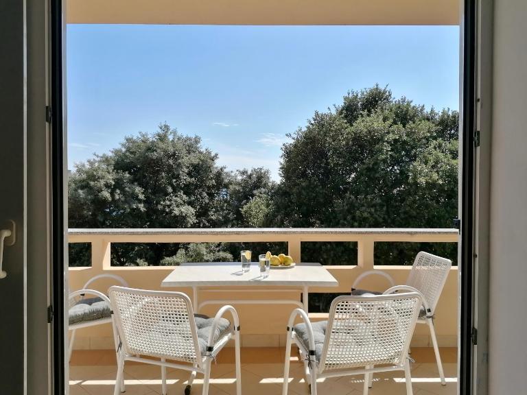 Marija Apartment Novalja - B&B Novalja