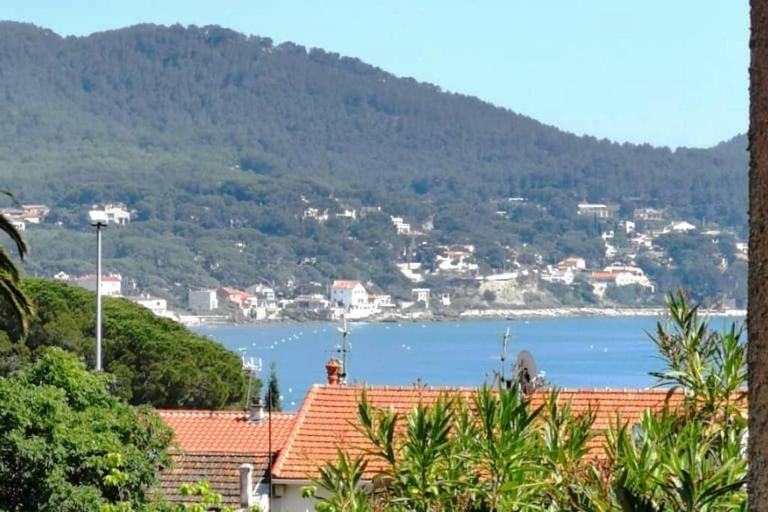 Proche de la plage les hauts du port - Bed and Breakfast Saint-Cyr-sur-Mer