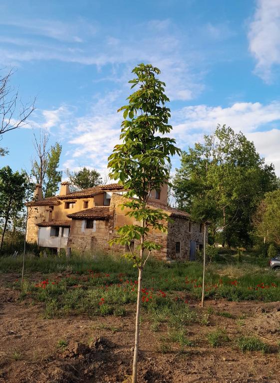 Molino Del Búho - B&B Torre la Cárcel
