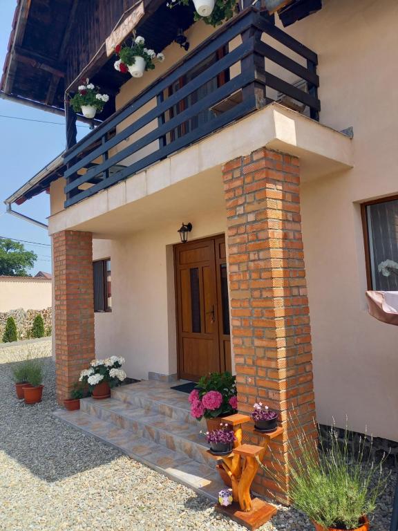 Casa Loredana - Chambres d'hôtes Cârţişoara