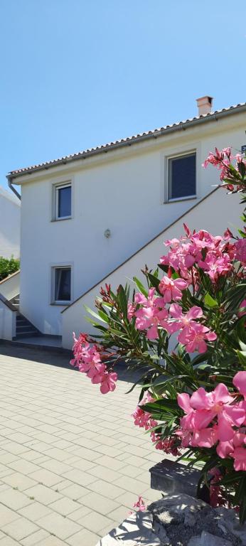 Apartments Ivan - B&B Povljana
