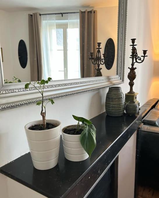 Chez La Vieille Dame - Ferienwohnung Cosne-Cours-sur-Loire