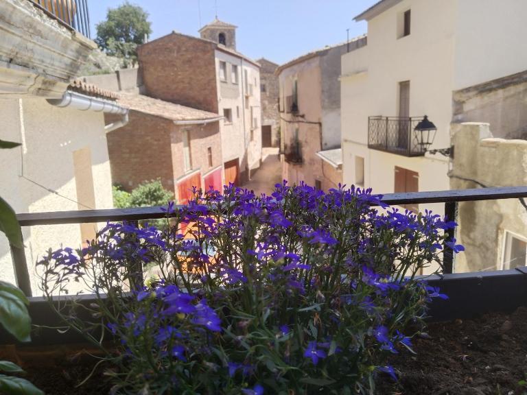 CAL BENAIGES - B&B Tartareu