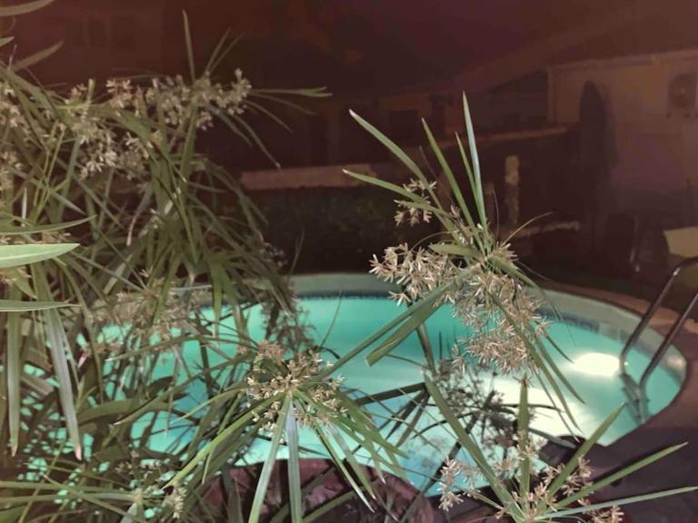 Piscine Cosy, 3 chambres, 3 SdB, havre de paix à 10 min des plages - Ferienwohnung Mauguio