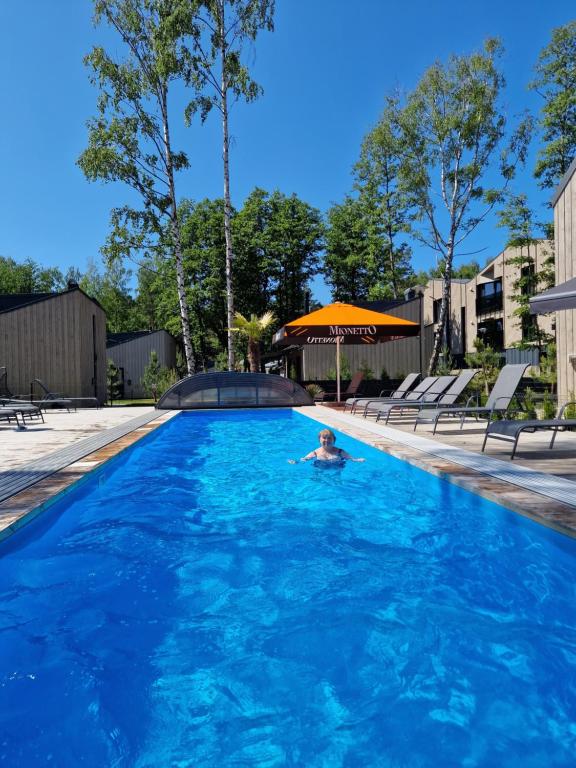 Flamingo apartamentai Čiki Puki - B&B Palanga