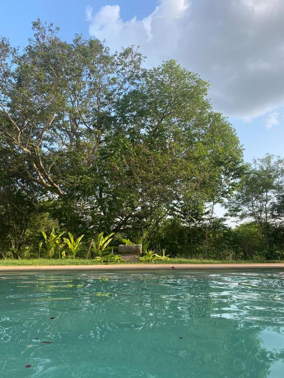 Casa de campo Hacienda Multunkú Minerva - B&B Seyé