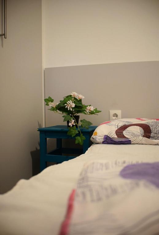 Helikon 31 Apartman Keszthely - Bed and Breakfast Keszthely
