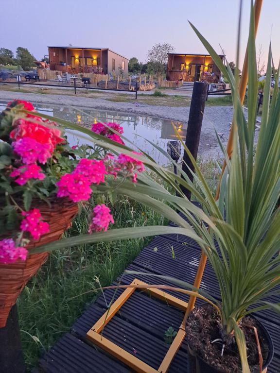 Pond Beach Oak residence - Bed and Breakfast Harristown
