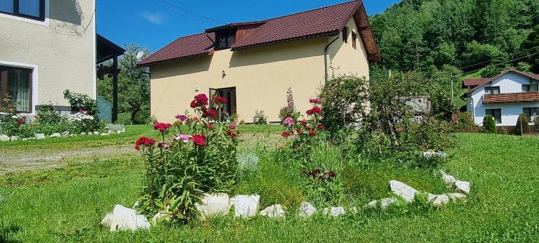 Pensiunea ,,Suciu" - Bed and Breakfast Răchițele