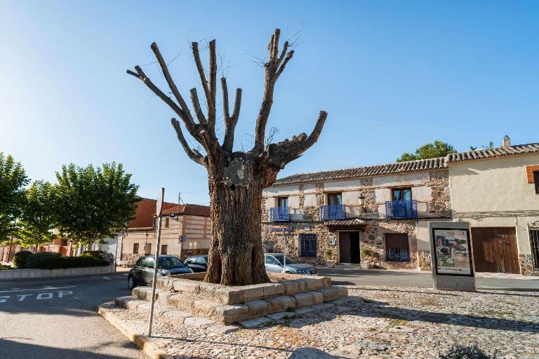 Casa Rural Álamo Grande - B&B Layos