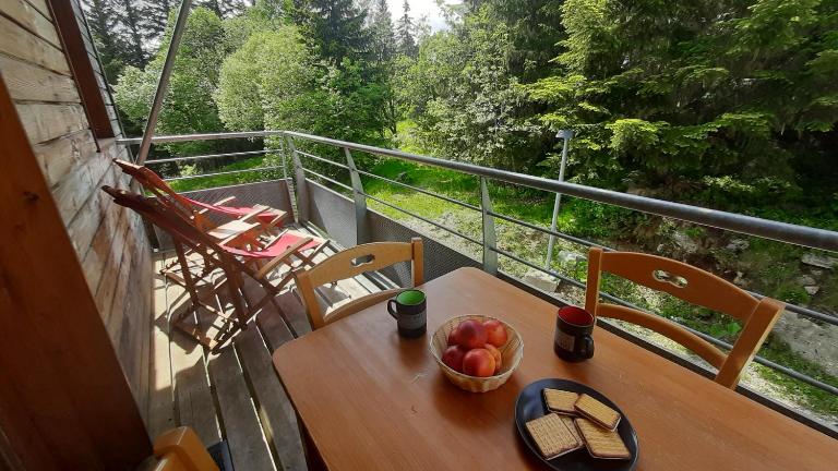 Charmant appartement au pied des pistes - Ferienwohnung Chamrousse