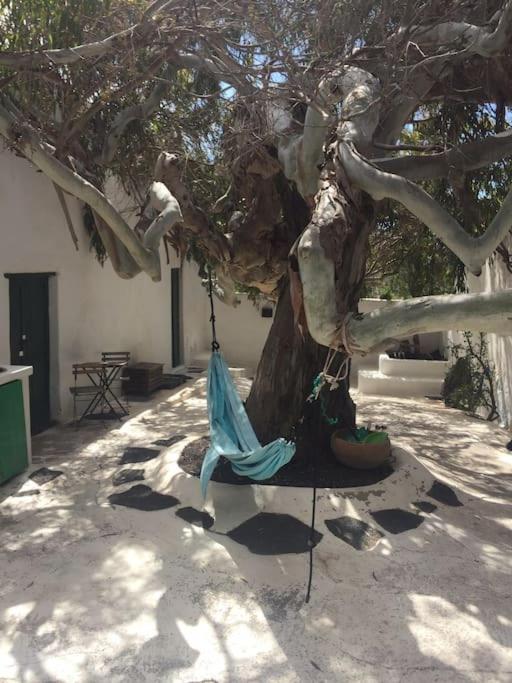 Studio III at orig. Finca,, sea views - B&B La Asomada