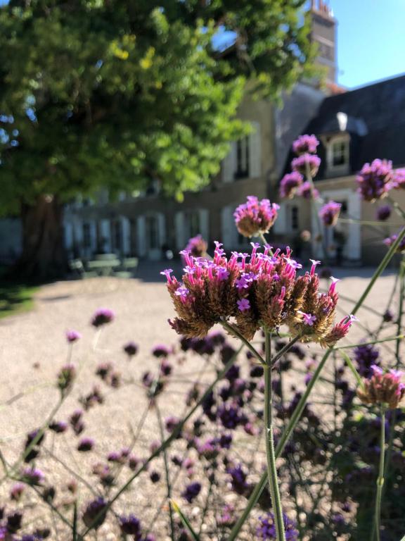 Domaine Saint-Hilaire - Bed and Breakfast Meung-sur-Loire