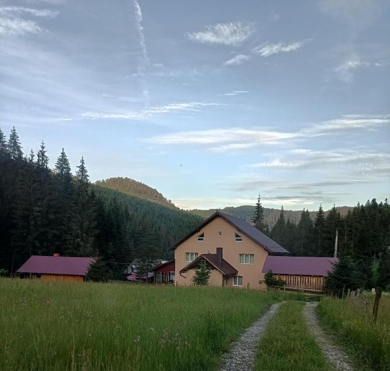 Casa de Piatră - Colț de Rai - B&B Arieşeni