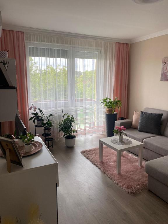 Sóstó Forest Apartman - B&B Nyíregyháza