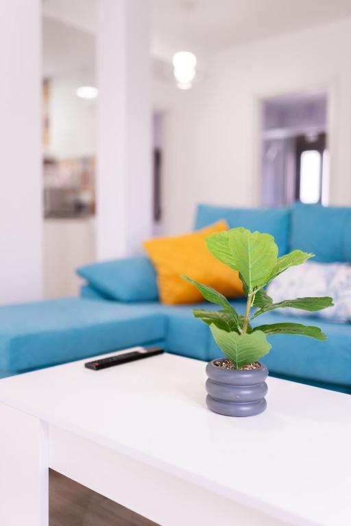 Apartamento Patio Real Bellavista - Bed and Breakfast Ronda