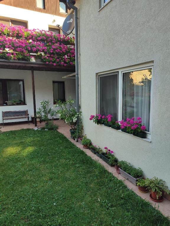 Apartman MITIĆ - B&B Požarevac