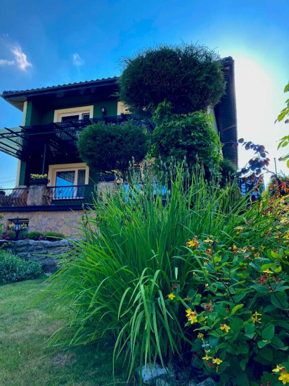 Studio Roxi - B&B Bachowice