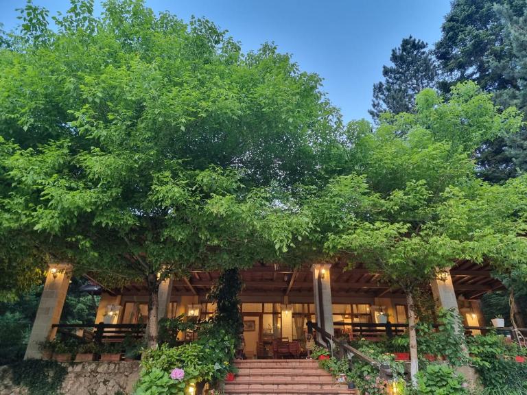 Guesthouse Alberti Llogara - Chambres d'hôtes Shkallë