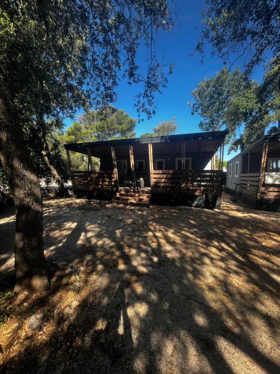 Lily C - B&B Pakoštane