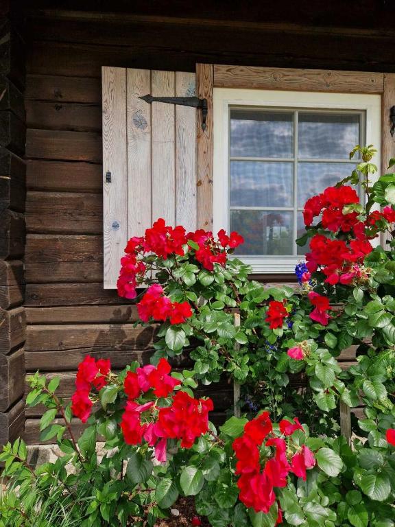Anykščiai MĖNULIO AKMUO - Ferienwohnung Kavoliškis