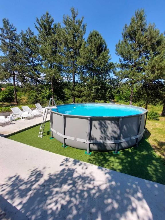 Borsko jezero - B&B Bor