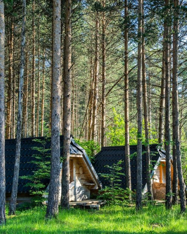 Chalets pod Gorom - Ferienwohnung Zabljak