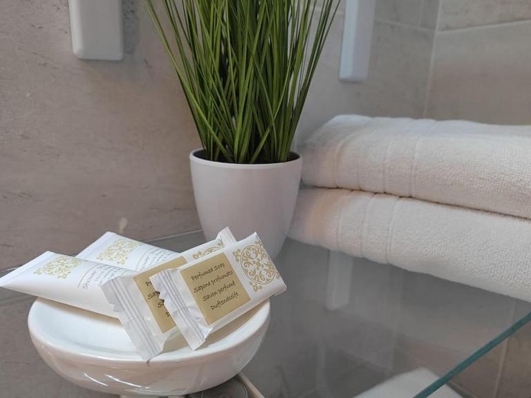Studio apartman Tadić - Chambres d'hôtes Matulji