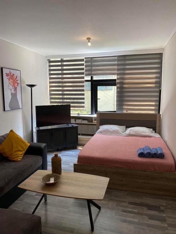κέντρο πόλης Βασίλης - B&B Ioannina