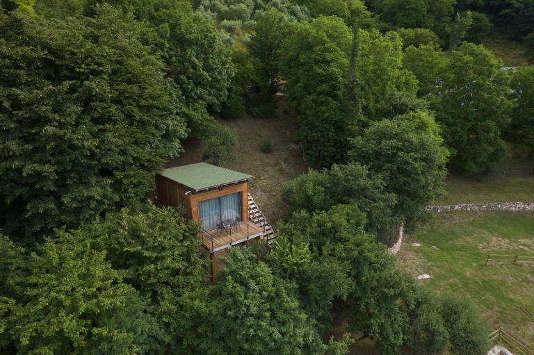 Tree House San Giorgio - B&B Solagna