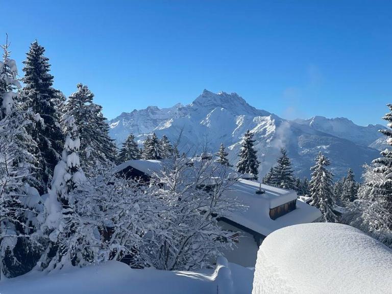 Chalet con Vista - B&B Villars-sur-Ollon