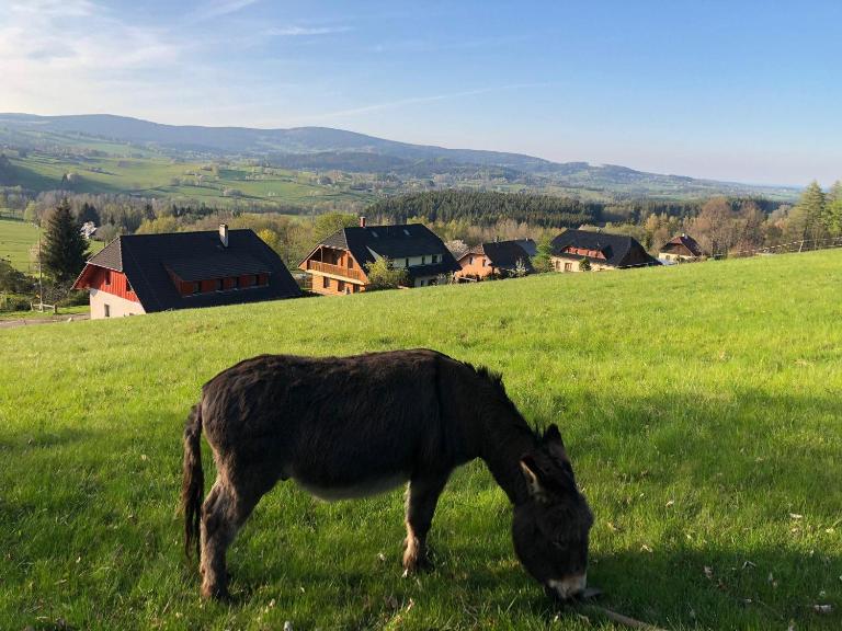 U Oslíka - B&B Zdíkov