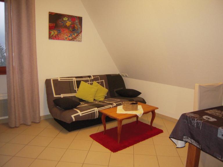Bel appartement de charme de 70 m2 - B&B Thannenkirch