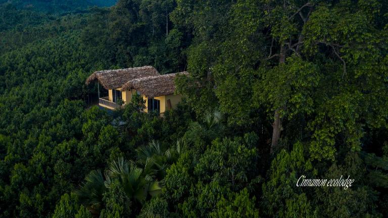 Cinnamon Eco Lodge - B&B Nậm Hoặc